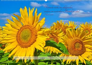 Motivierende Sprüche - gestärkt durch das Jahr (Premium, hochwertiger DIN A2 Wandkalender 2023, Kunstdruck in Hochglanz)