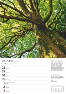 Bäume Wochenplaner 2025