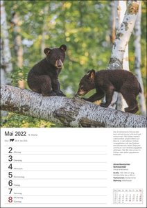 Unsere Tierwelt Kalender 2022