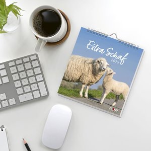 Extra Schaf Postkartenkalender 2026