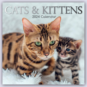 Cats & Kittens - Katzen & Kätzchen 2024 - 16-Monatskalender