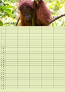 Familienplaner 2021 - Orang Utans im Dschungel (Wandkalender 2021 DIN A2 hoch)