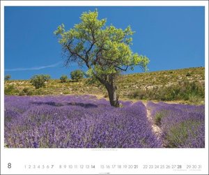 Provence Kalender 2022