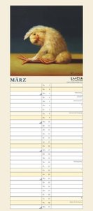 Lucia Heffernan: Yoga Chicks Planer 2025 – Wandkalender – Notiz-Kalender mit 2 Spalten – Format 22 x 49,5 cm