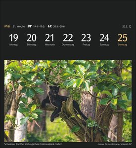 Magic Nature Postkartenkalender Kalender 2025 - Kalender mit 53 Postkarten