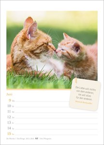 Katzenglück Wochenkalender 2025 - mit Zitaten