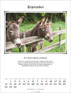 Der Hundertjährige Kalender 2026