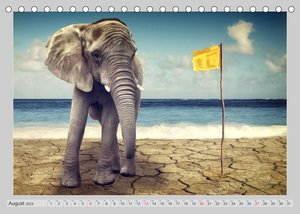 Elefanten - Portraits der besonderen Art (Tischkalender 2023 DIN A5 quer)
