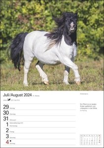 Pferde Wochenplaner 2024. Wochenkalendarium, Zitate und Pferdefotos in einem praktischen Termin-Kalender. Funktion trifft auf Design: Hochwertiger Fotokalender mit Raum für Notizen