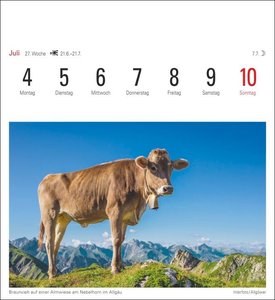 Alpen Kalender 2022