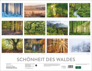 Schönheit des Waldes Posterkalender 2026