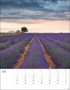 Wege zum Träumen Kalender 2022