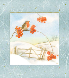 Wintermorgen mit Rotkehlchen, Wandkalender