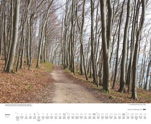 Rügen & Hiddensee 2025 – Wandkalender 52 x 42,5 cm – Spiralbindung