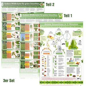 [3er Set] Grüne Smoothies in 5 Minuten & Essbare Wildkräuter für Grüne Smoothies Teil 1&2 (2024), mit 1 Beilage, 3 Teile. Tl.1 u. 2
