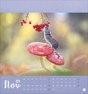 Vadim Trunov: Märchenhaftes Waldleben Postkartenkalender 2026