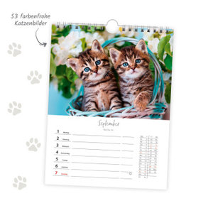 Trötsch Wochenkalender zum Hängen Katzen 2025