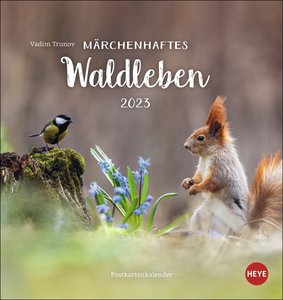 Vadim Trunov: Märchenhaftes Waldleben Postkartenkalender 2023. Der russische Tierfotograf fängt den Zauber der Wälder in einem kleinen Kalender ein. Süßer Tierkalender 2023.