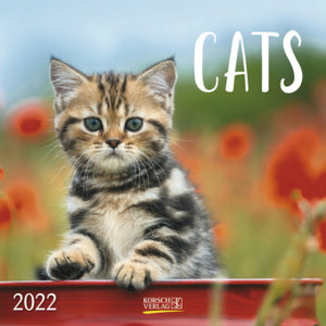 Cats 2022