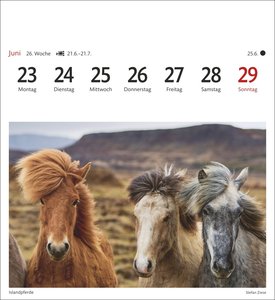 Island Sehnsuchtskalender 2025 - Wochenkalender mit 53 Postkarten