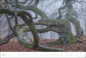 Der deutsche Wald - Ein literarischer Spaziergang Kalender 2022