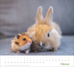 times&more Echte Freunde Bildkalender 2026