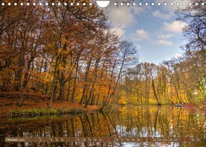 Das Steinfurter Bagno im Wandel der Jahreszeiten (Wandkalender 2023 DIN A4 quer)