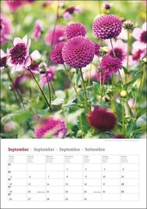 Gartenzauber Kalender 2022