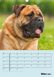 Planer Molosser - Giganten der Hundewelt (Wandkalender 2021 DIN A3 hoch)