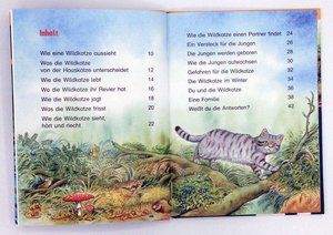 Sachwissen für Erstleser: Die Wildkatze
