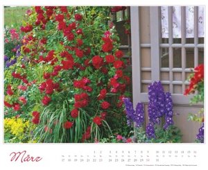 Im Rosengarten 2025 - DUMONT Garten-Kalender - Querformat 52 x 42,5 cm - Spiralbindung