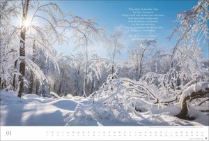 Der deutsche Wald - Ein literarischer Spaziergang Kalender 2026 - Ein literarischer Spaziergang