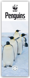 WWF Penguins - Pinguine 2024 - Slimline-Kalender