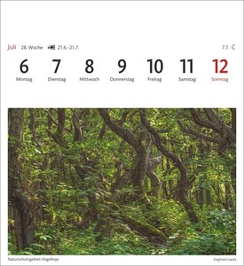 Sylt Sehnsuchtskalender 2026