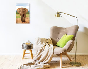 Premium Textil-Leinwand 30 cm x 45 cm hoch Elefant