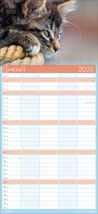 Cool Cats Familienplaner 2026