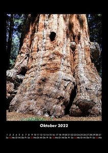 Bilder der Natur 2022 Fotokalender DIN A5