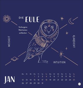 Krafttiere Postkartenkalender 2026
