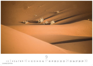 Sahara 2023 L 35x50cm