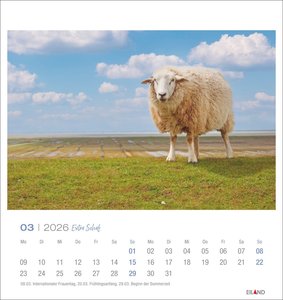 Extra Schaf Postkartenkalender 2026