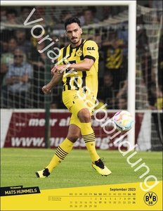 BVB Posterkalender. Jahres-Wandkalender 2024 für Fußballfans. Fotokalender mit den Stars von Borussia Dortmund. Kalender im Hochformat 34 x 44 cm.