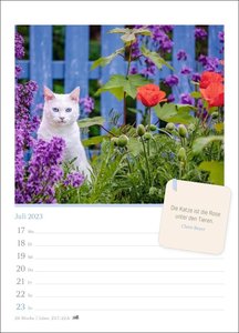 Katzenglück Wochenkalender 2023