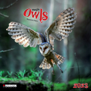 Magic Owls  2023