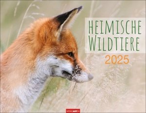 Heimische Wildtiere 2025