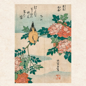 Hokusai/Hiroshige - Nature 2022