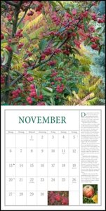 Freude im Garten 2023 - Broschürenkalender - mit informativen und poetischen Gartentexten - Format 30 x 30 cm