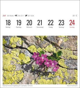 Alpen Kalender 2022