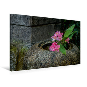 Premium Textil-Leinwand 75 cm x 50 cm quer Blüten in einer Steinvase im Nishiki Tempel, Kyoto