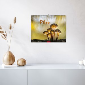 Wunderwelt der Pilze  2026