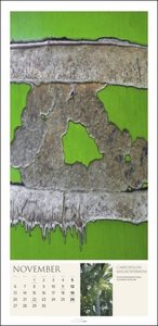 Baum Art Kalender 2023. Lebende Kunstwerke: Bäume mit ungewöhnlichen Rinden, fotografiert von dem französischen Naturfotografen Cédric Pollet. Länglicher Kalender XXL.,